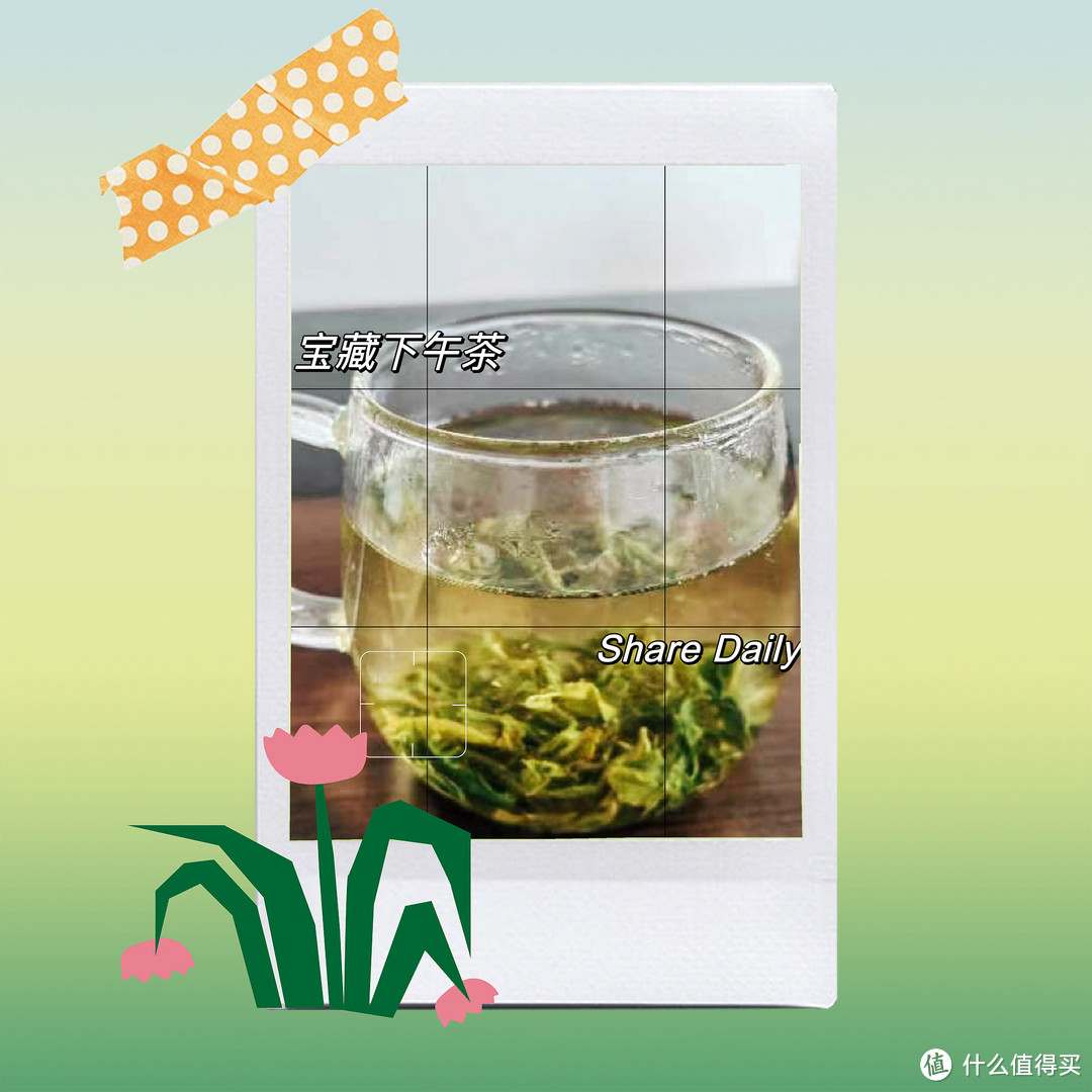 绿满堂~碧螺春!探寻清幽之韵…