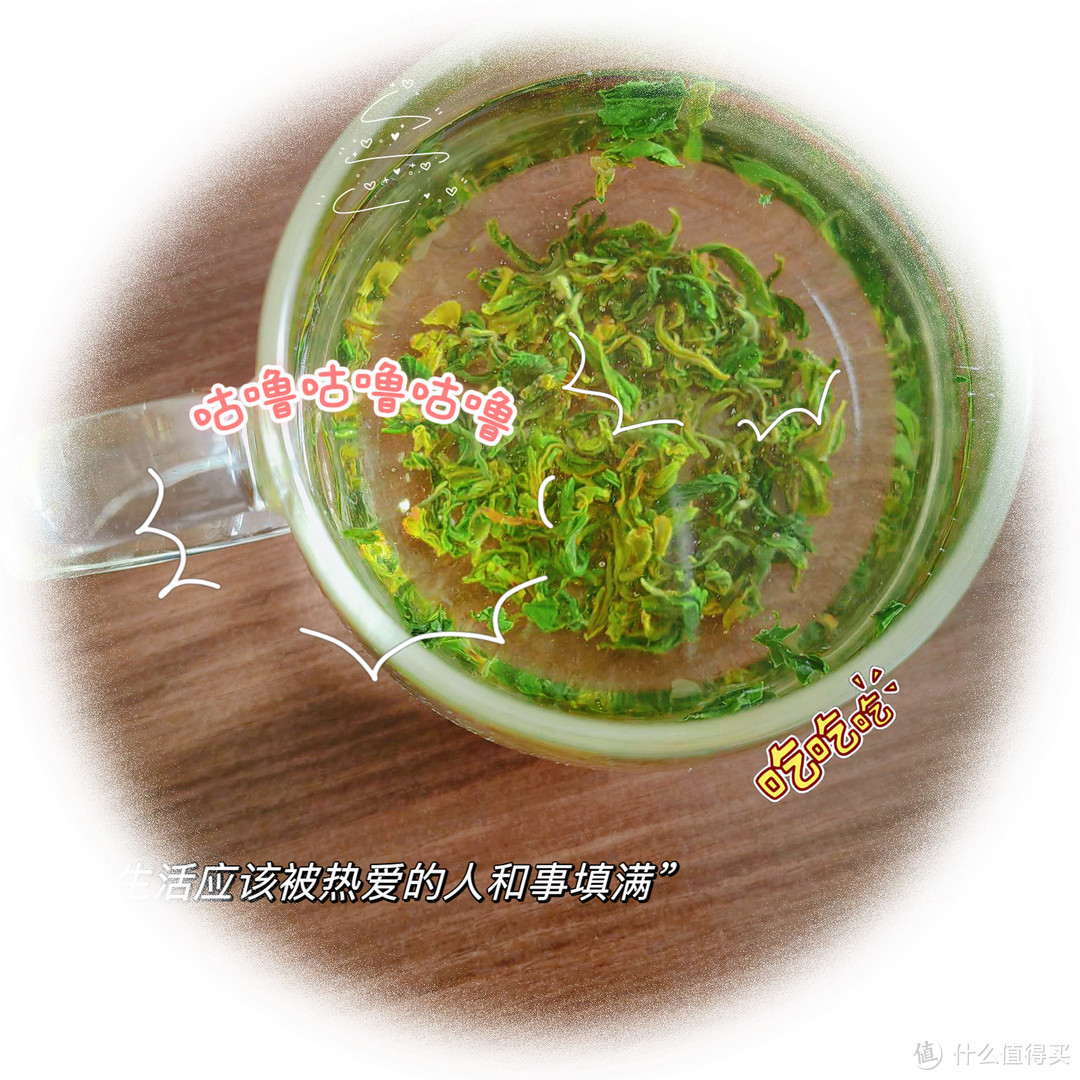 绿满堂~碧螺春!探寻清幽之韵…