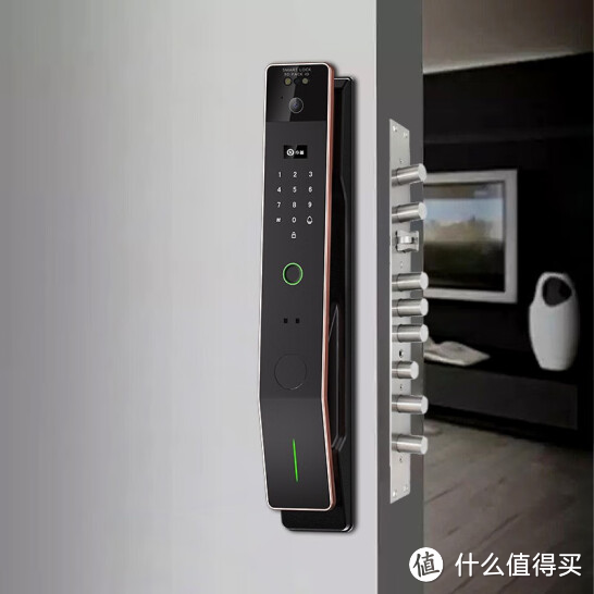 七百多元的3D人脸识别智能门锁体验,为此我专门换了一套防盗门!竟然还支持霸王锁体和天地钩!