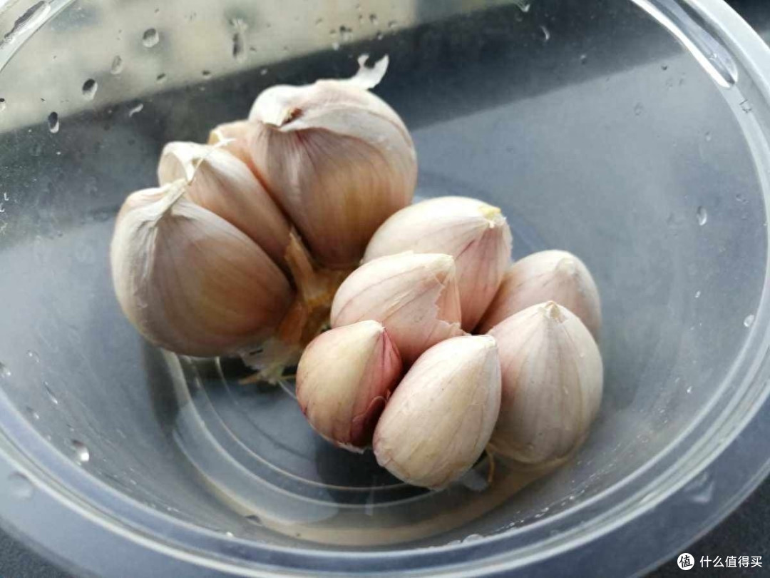 又到了种菜的季节,2种菜很好养,味道鲜美长势旺,让阳台变美了