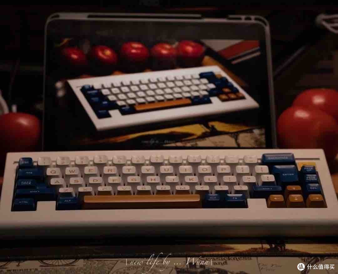 示意图为PC 65 R2–爱吃樱桃的番茄 装备前线