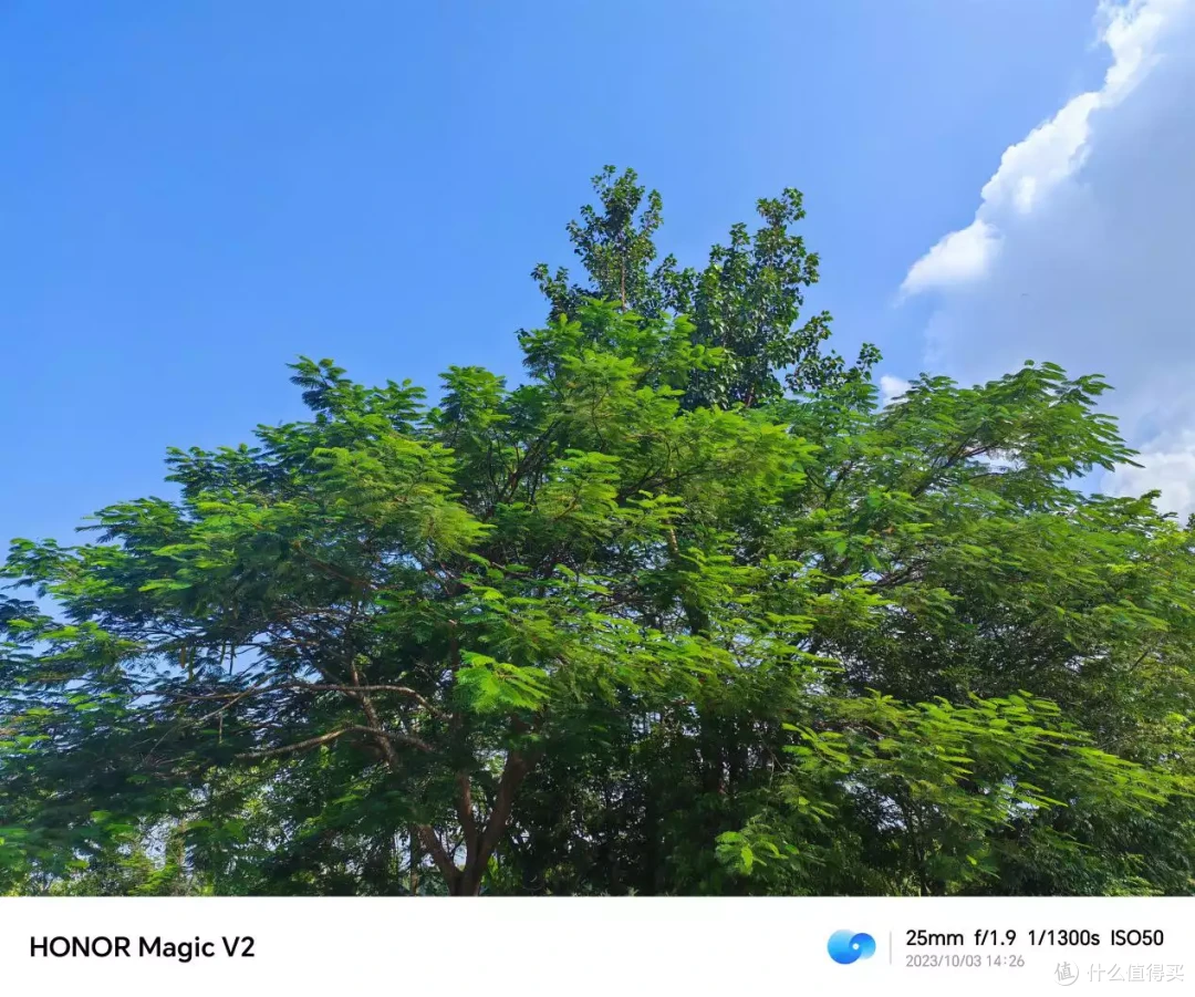 荣耀Magic V2究竟值不值?体验9.9m折叠屏旗舰!