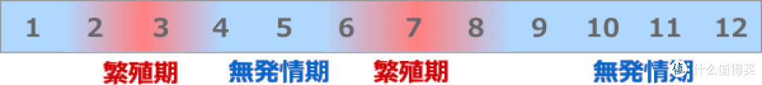 无广：第一次养猫怎么办？2023保姆级科学养猫指南