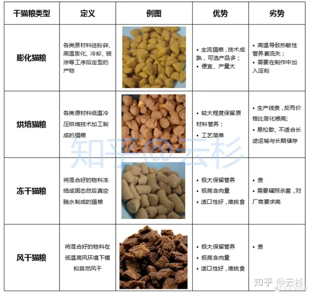 无广：第一次养猫怎么办？2023保姆级科学养猫指南