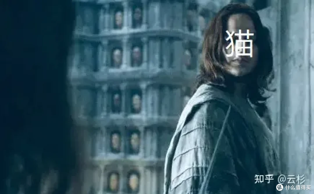 无广：第一次养猫怎么办？2023保姆级科学养猫指南