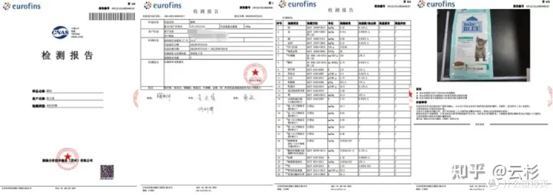 无广：第一次养猫怎么办？2023保姆级科学养猫指南