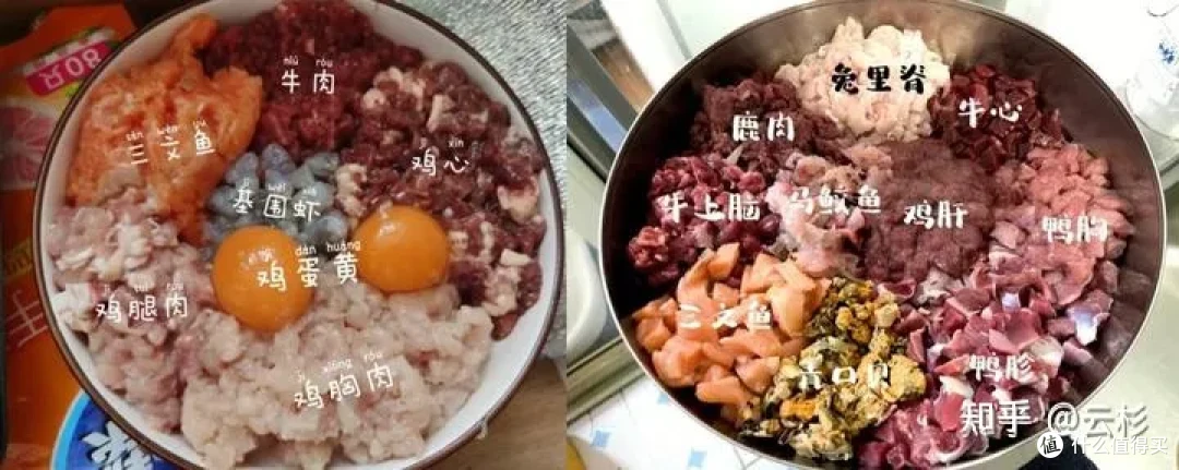 无广：第一次养猫怎么办？2023保姆级科学养猫指南