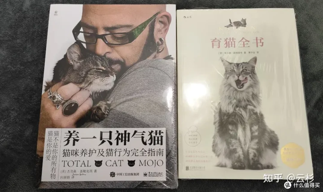 无广：第一次养猫怎么办？2023保姆级科学养猫指南