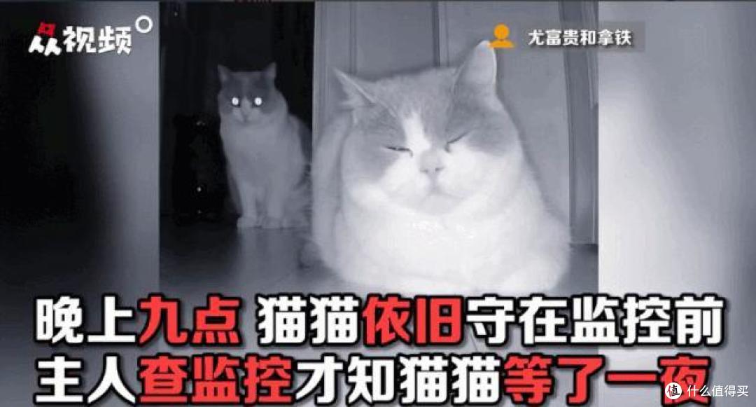 动图封面