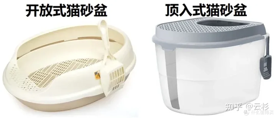 无广：第一次养猫怎么办？2023保姆级科学养猫指南