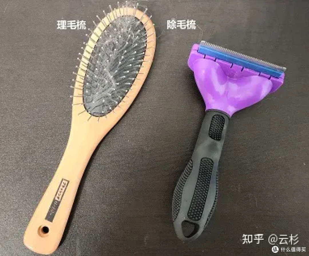 无广：第一次养猫怎么办？2023保姆级科学养猫指南