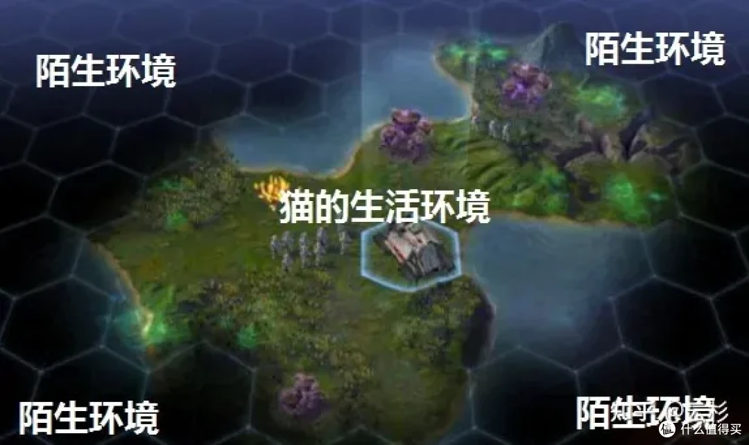 无广：第一次养猫怎么办？2023保姆级科学养猫指南