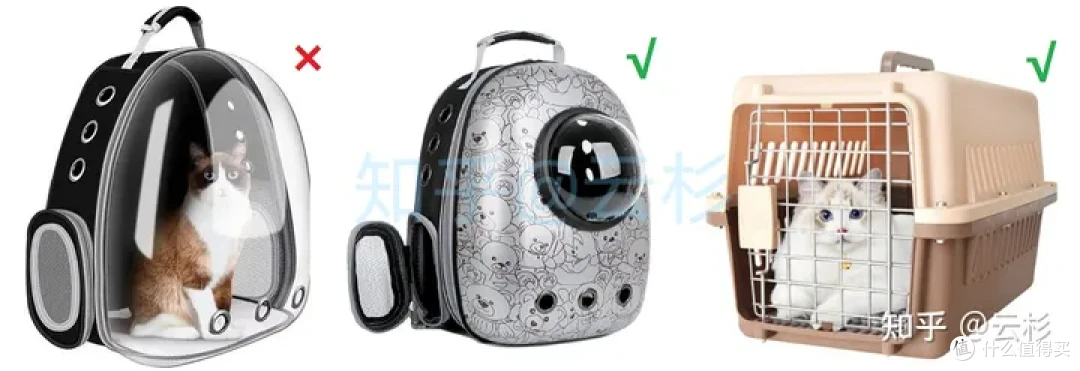 无广：第一次养猫怎么办？2023保姆级科学养猫指南