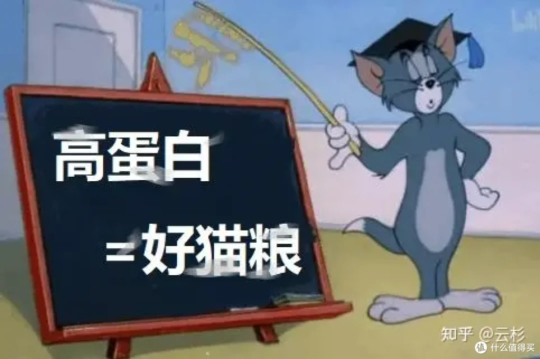 无广：第一次养猫怎么办？2023保姆级科学养猫指南