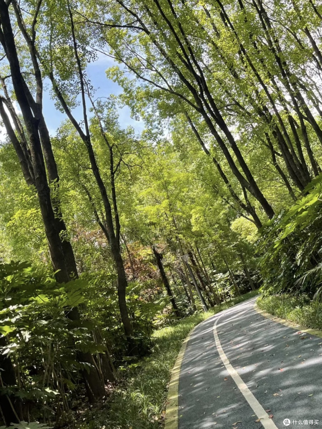 🏃♀️ 疾风中的畅快律动 🏃♂️