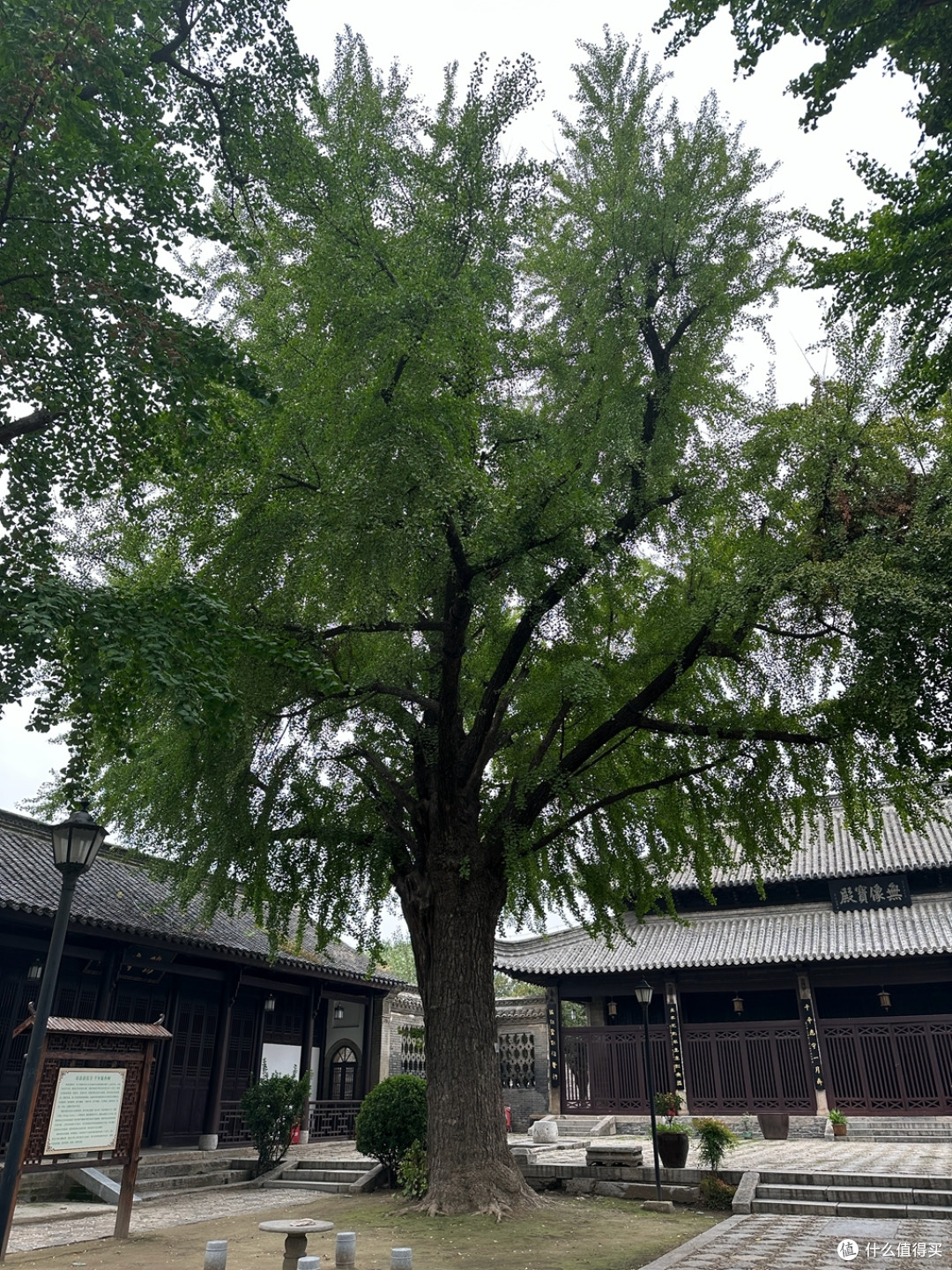 国庆漫游记:比平遥古城还早一百年的古城,寿县古城2日游(2)