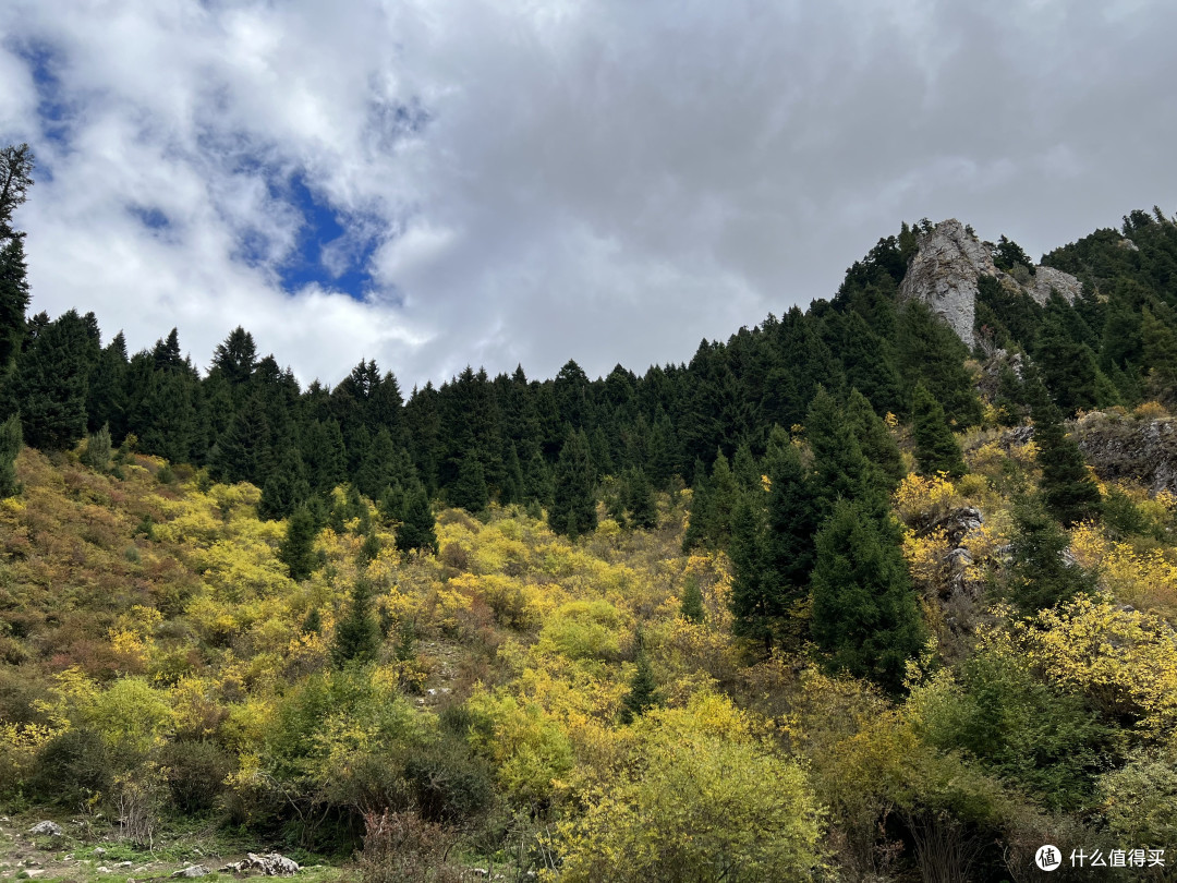 纳摩峡谷