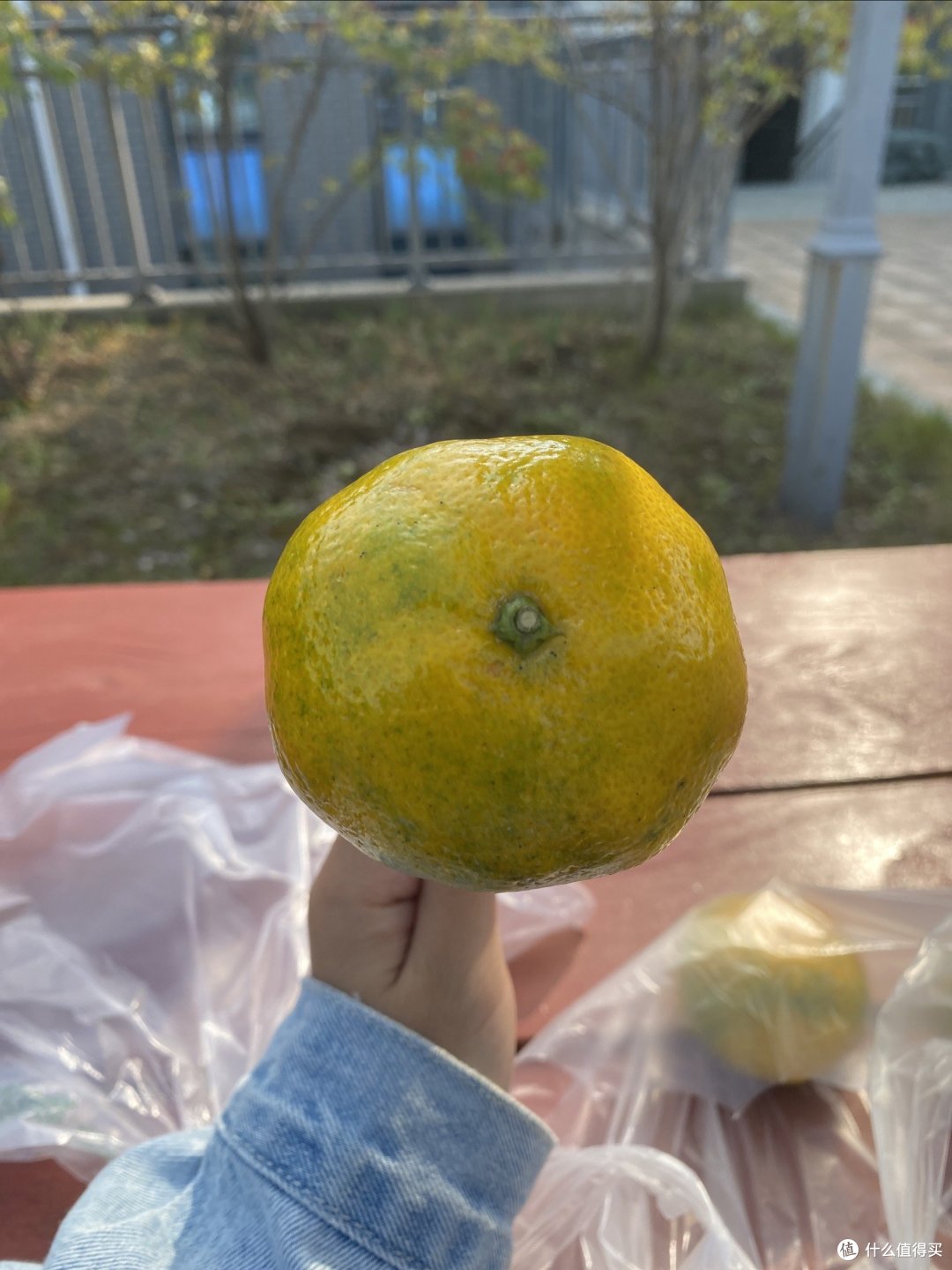 这个大橘子真的蛮好吃的！