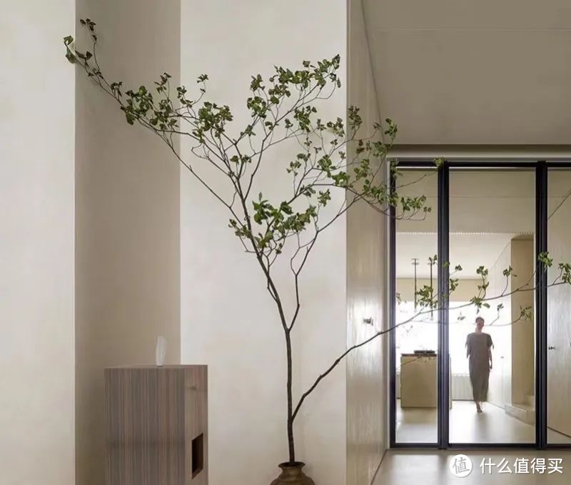 客厅别在摆金钱树，“这4款”绿植更高级有格调，难怪那么受欢迎