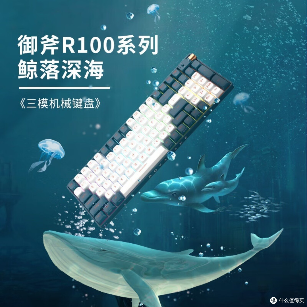 R100鲸落深海