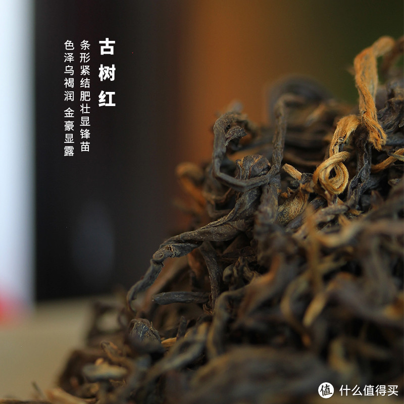 金奖古树红茶，蒲门滇红商务礼罐，让你品味高贵!