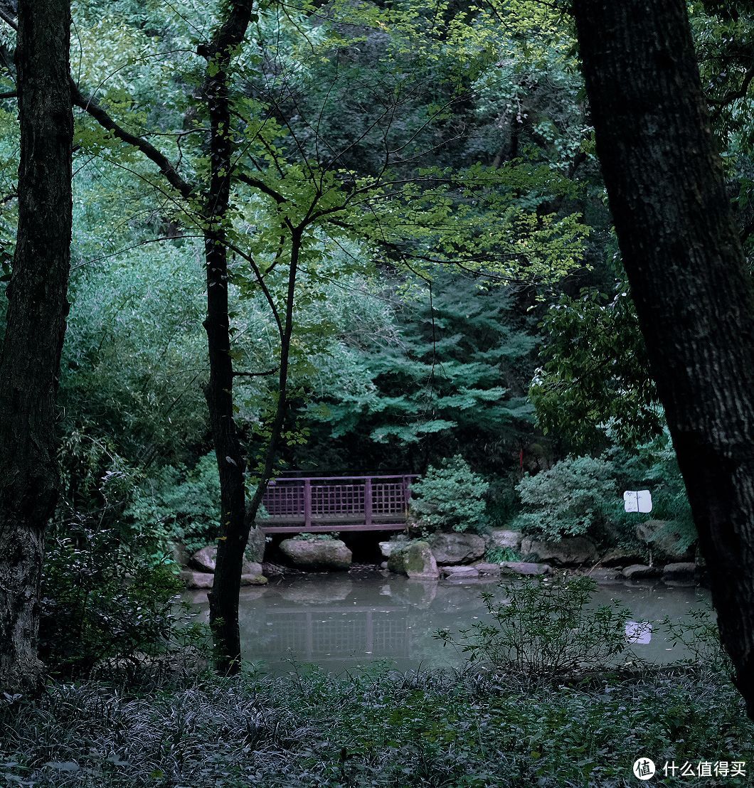 国庆带娃避人流~上海周边深山徒步，打栗子，挖石头，打卡红山动物园好不快乐~