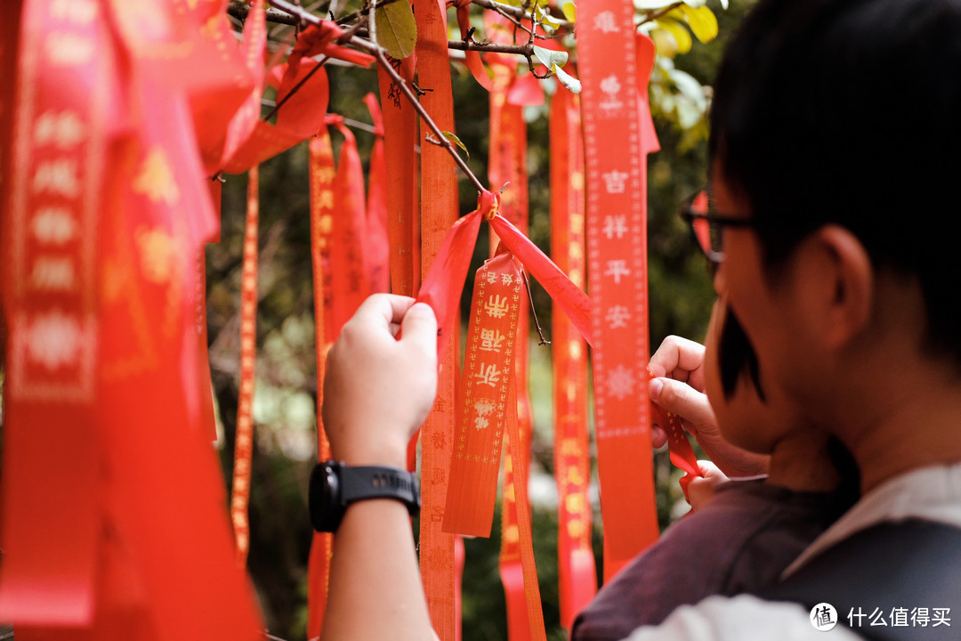 国庆带娃避人流~上海周边深山徒步，打栗子，挖石头，打卡红山动物园好不快乐~