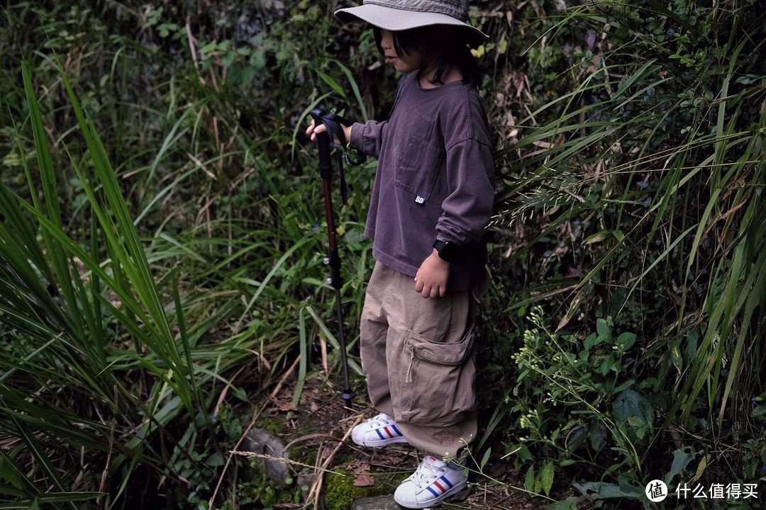 国庆带娃避人流~上海周边深山徒步，打栗子，挖石头，打卡红山动物园好不快乐~