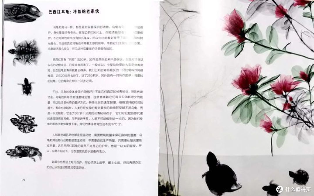 哪本科普书籍让你感觉十分惊艳,打开了你对世界认识的另一扇大门?