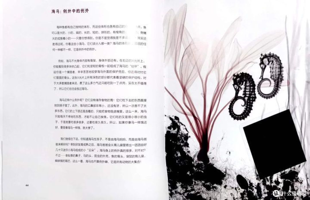 哪本科普书籍让你感觉十分惊艳,打开了你对世界认识的另一扇大门?
