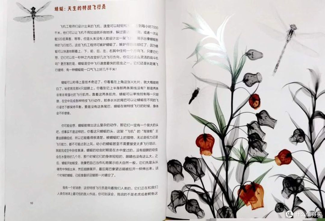 哪本科普书籍让你感觉十分惊艳,打开了你对世界认识的另一扇大门?