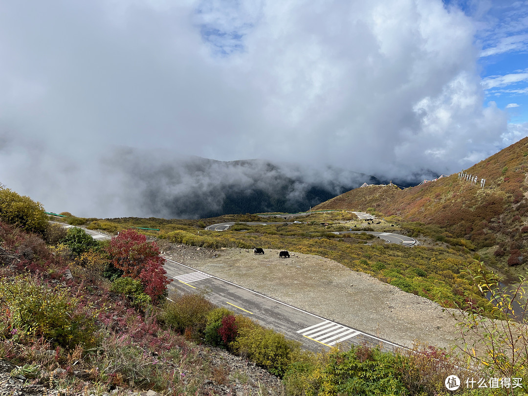 骑行穿越洛克之路，10天爬升15000米从甘南到川西