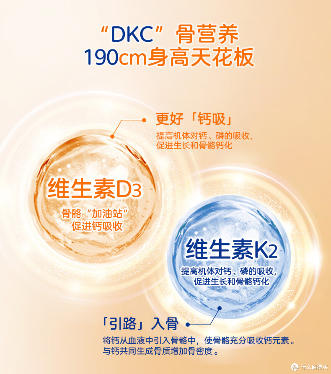 高三学生党的膳食补充