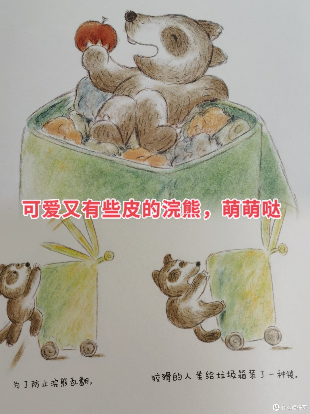 我的心也要被浪花朵朵带来的这本《浣熊邻居》给萌化了