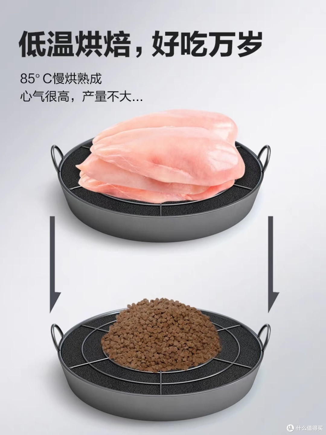 卫仕有人在吃吗？双十一买怎么样？