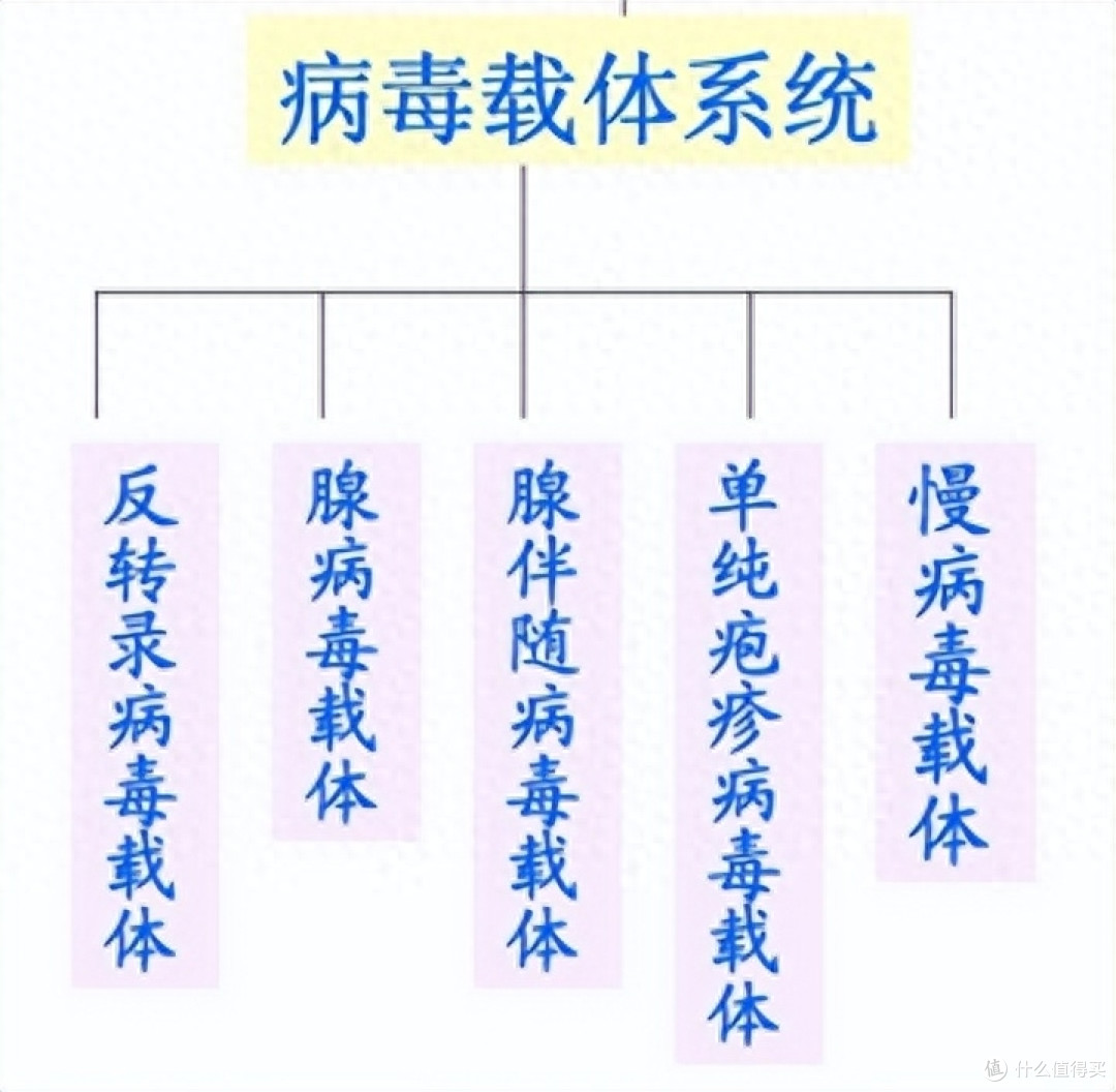 病毒都是百害而无一利的吗？