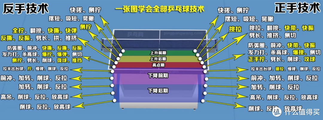 乒乓球进阶攻略:乒乓球术语大全,祝你球艺飞跃