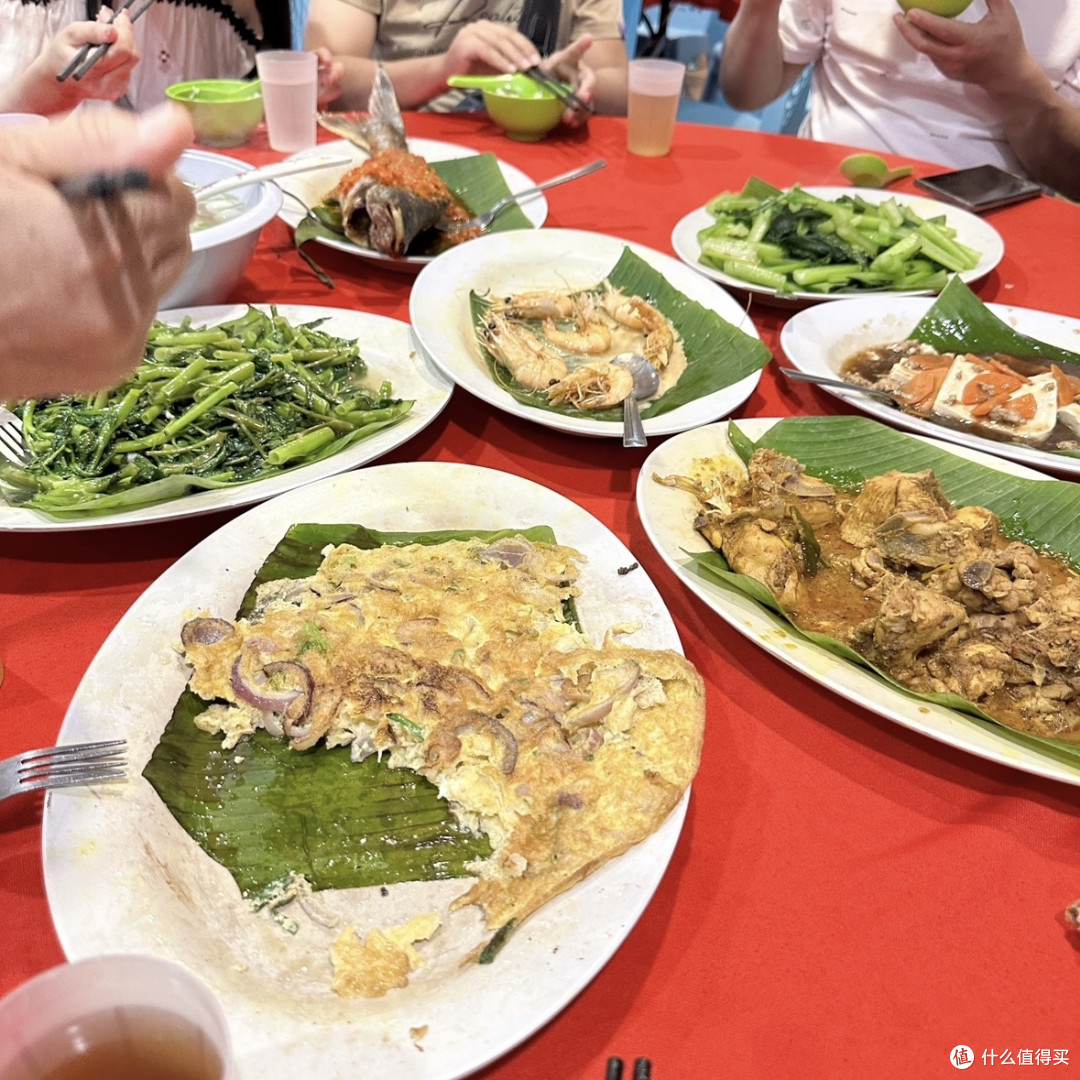 波德申丢护照的奇妙经历，新加坡马来西亚六日行出行指南（下）