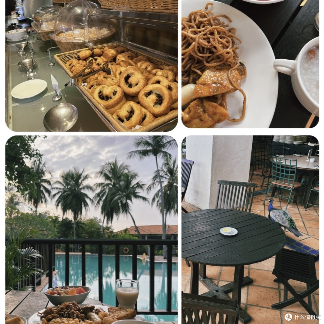 波德申丢护照的奇妙经历，新加坡马来西亚六日行出行指南（下）