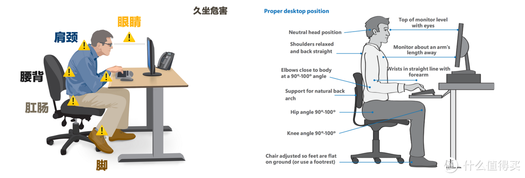 人体工学椅到底怎么选？科学分析+理性实践，看准这几个参数就够了！