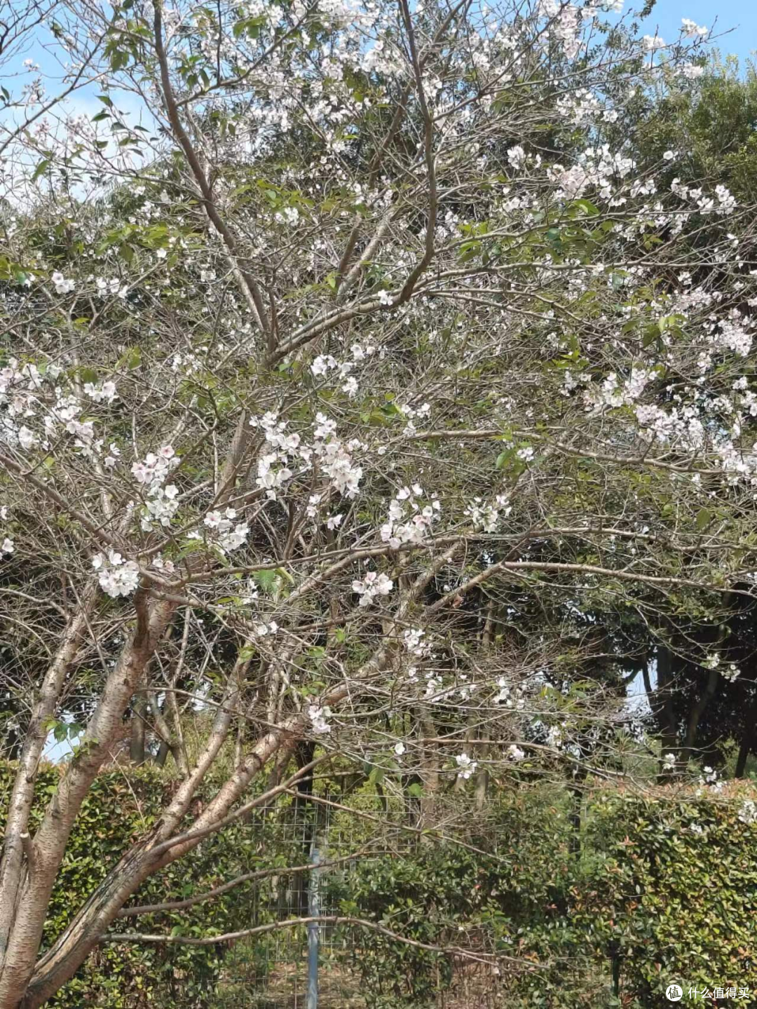 一场马拉松，爱上龙虎山，2023龙虎山马拉松赛记