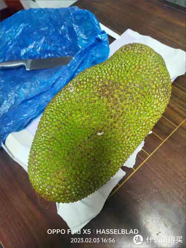 海南黄肉菠萝蜜——热带水果的瑰宝