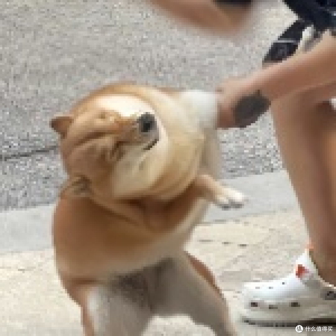 哈哈哈哈哈哈哈
