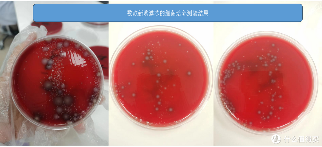 花了三万，装过11台净水器，我悟了——掌握净水器选购7条原则，保你不踩坑（附2023选购攻略）