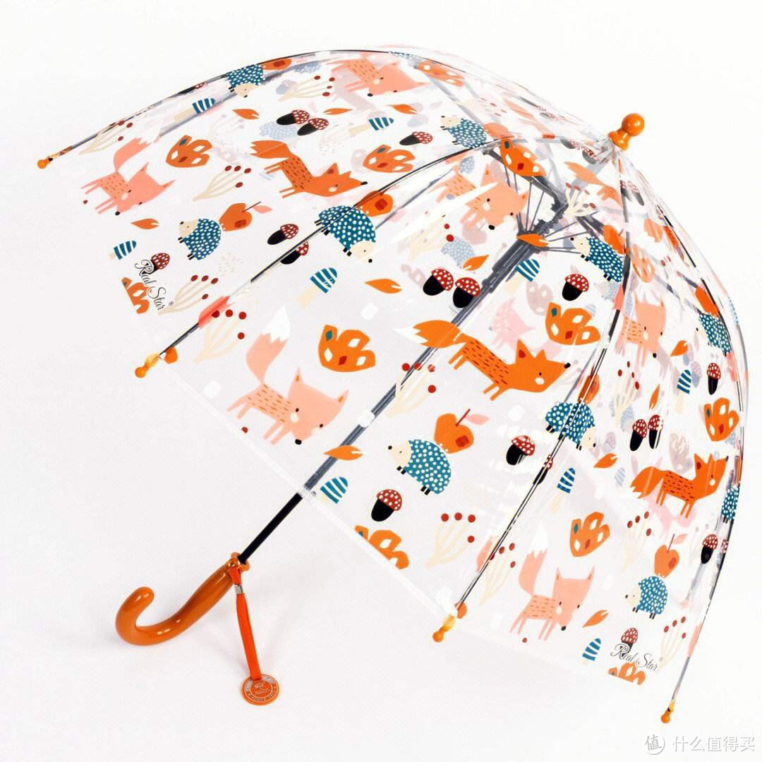 雨伞保养技巧：延长使用寿命的实用方法