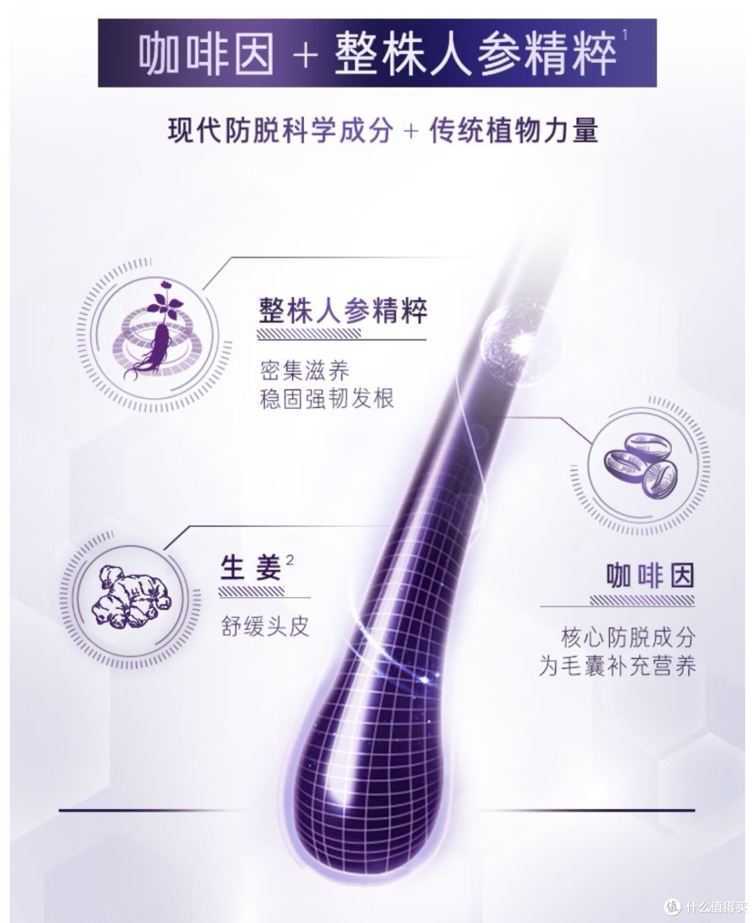 年纪轻轻「秃」如其来,我们该如何选洗发水了?