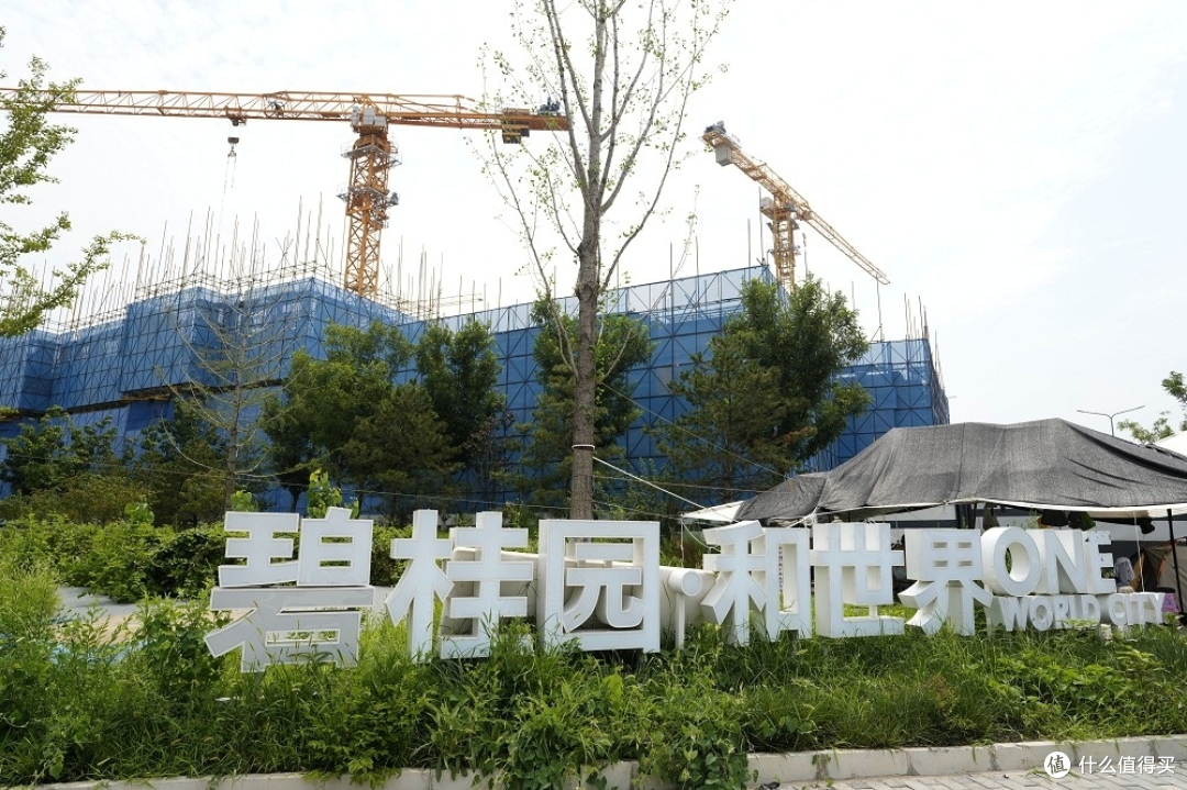 碧桂园债务危机的根源解析