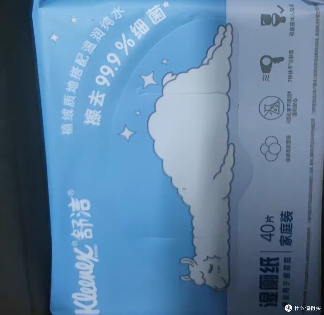 厕纸