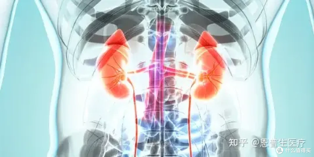 图源网络侵删