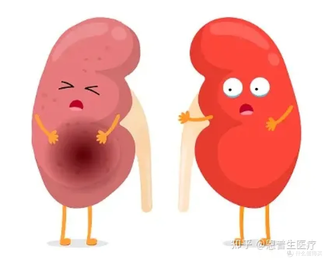 图源网络侵删